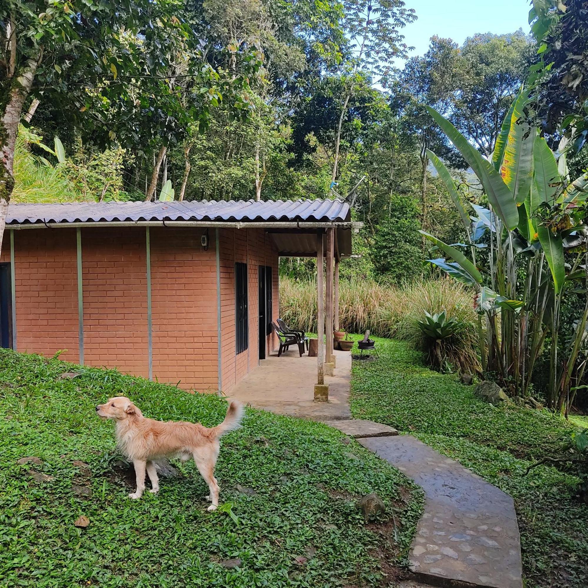 Holiday home Cucu Ardilla Vivienda Campestre En Pance *